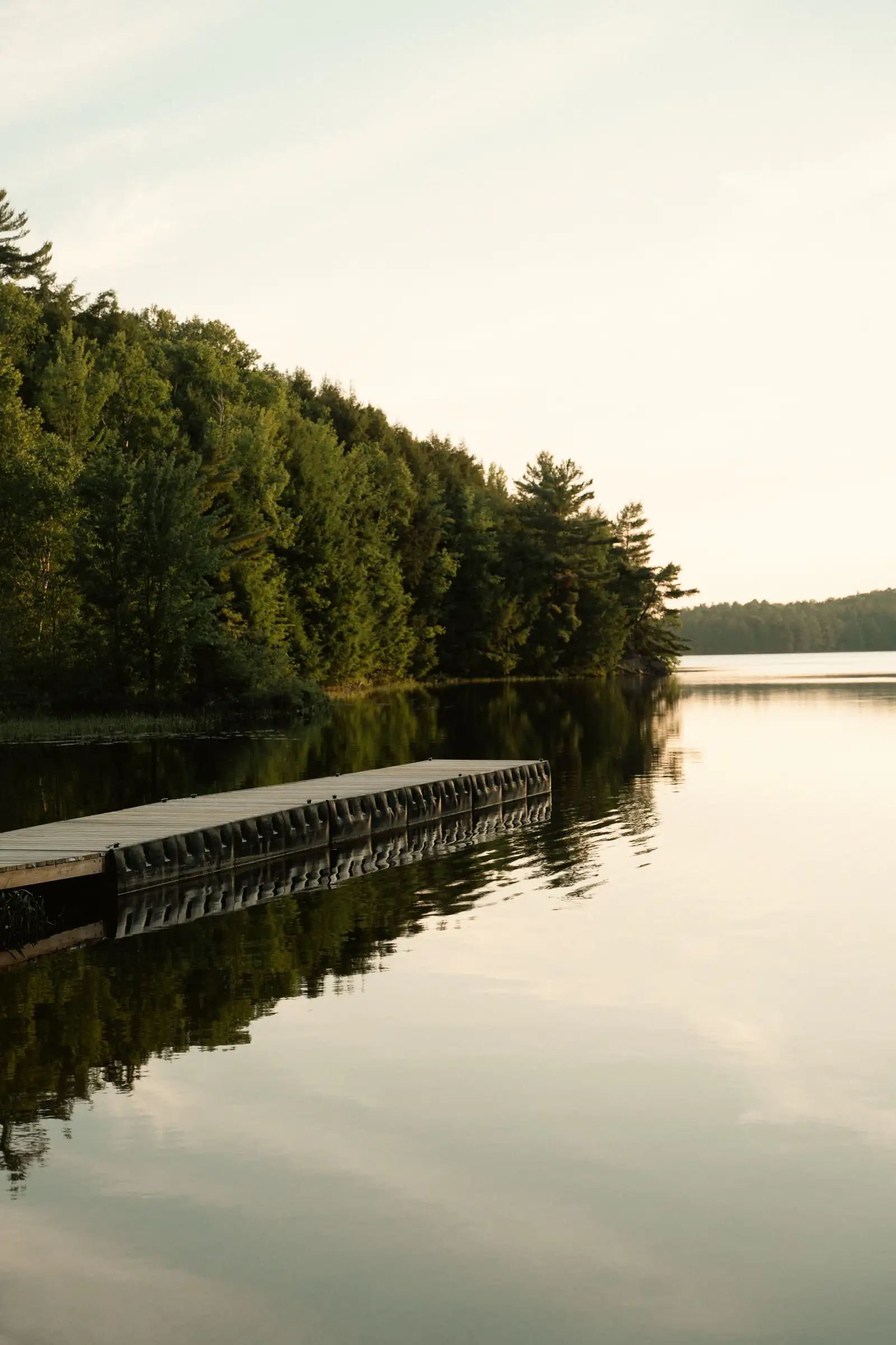 A wooden dock on a calm forest-lined lake at Restoule, Ontario, in warm evening light