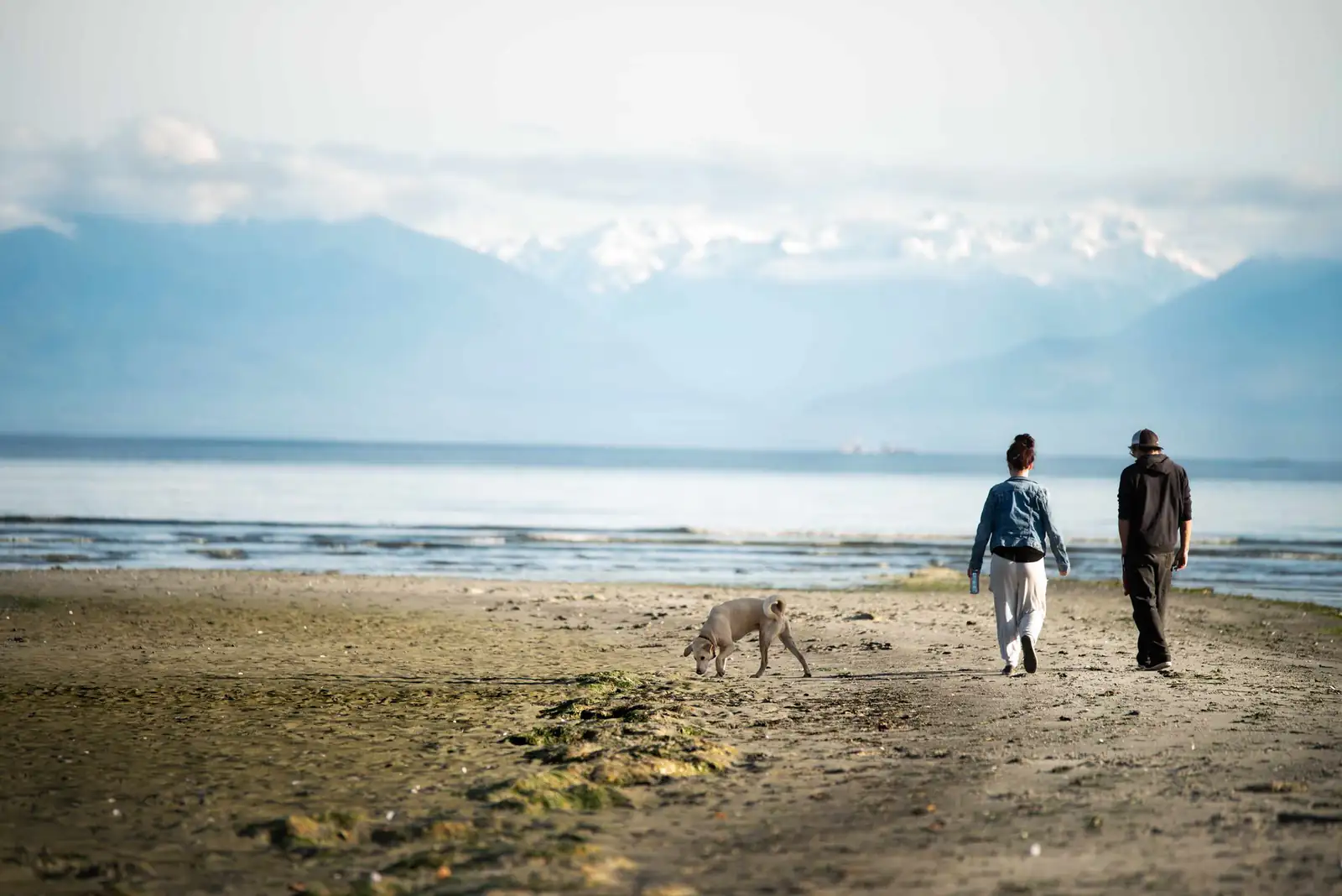 A couple walking a dog on a beach in Metchosin, British Columbia