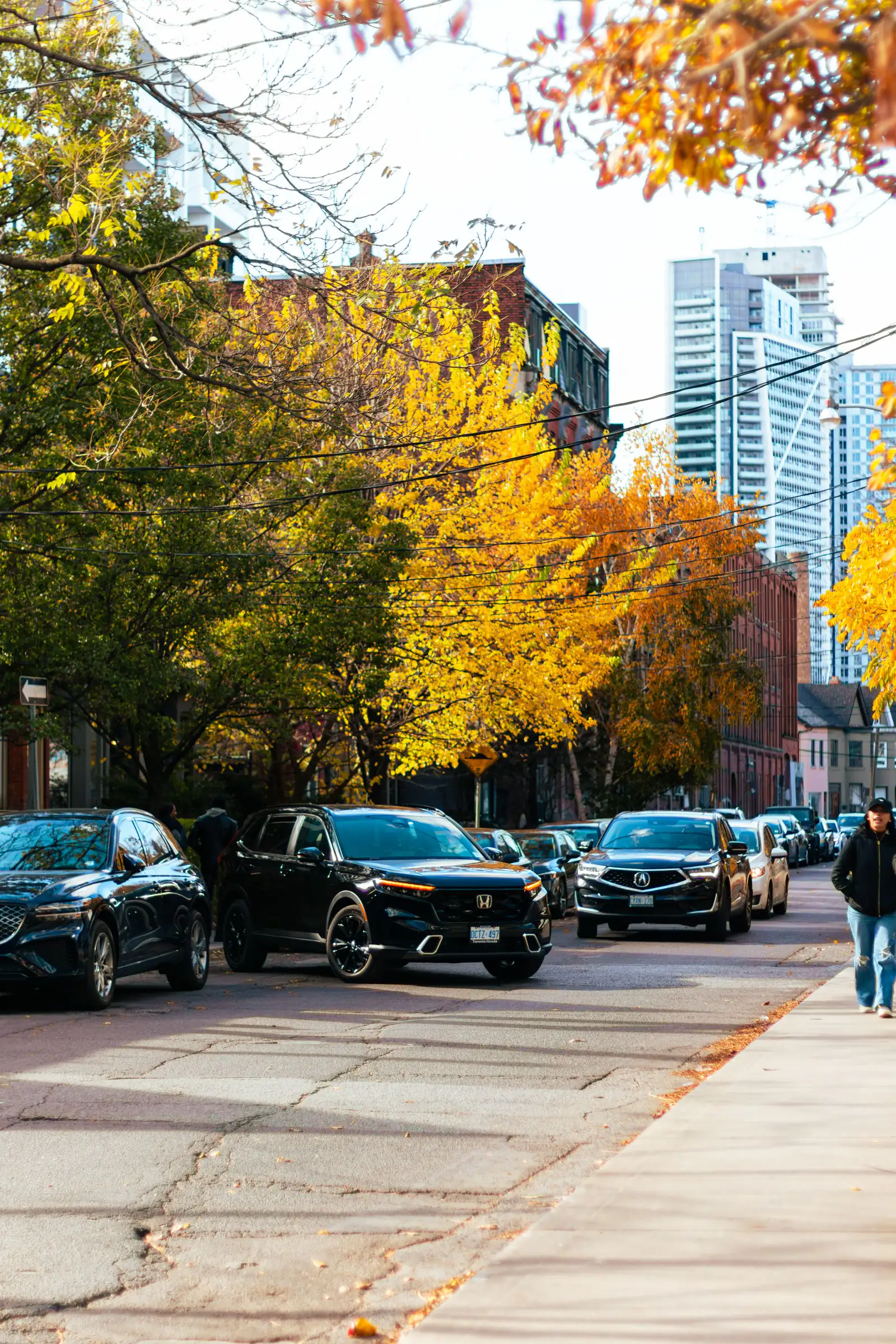A Toronto street in autumn with yellow maple trees, parked cars and a pedestrian on the sidewalk