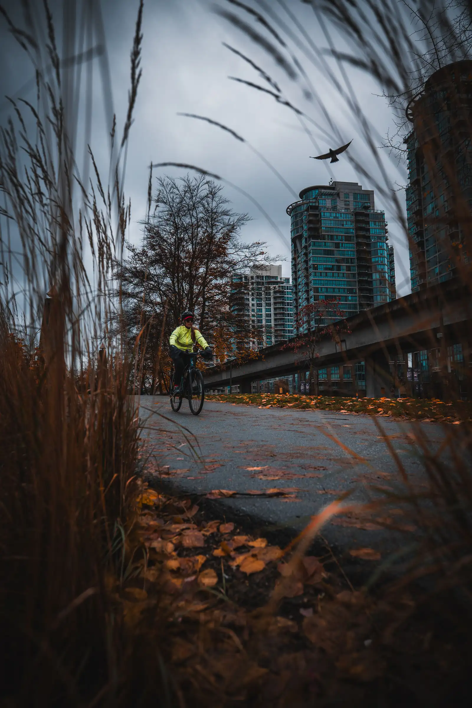 A cyclist riding along a pathway beside apartment towers in Vancouver